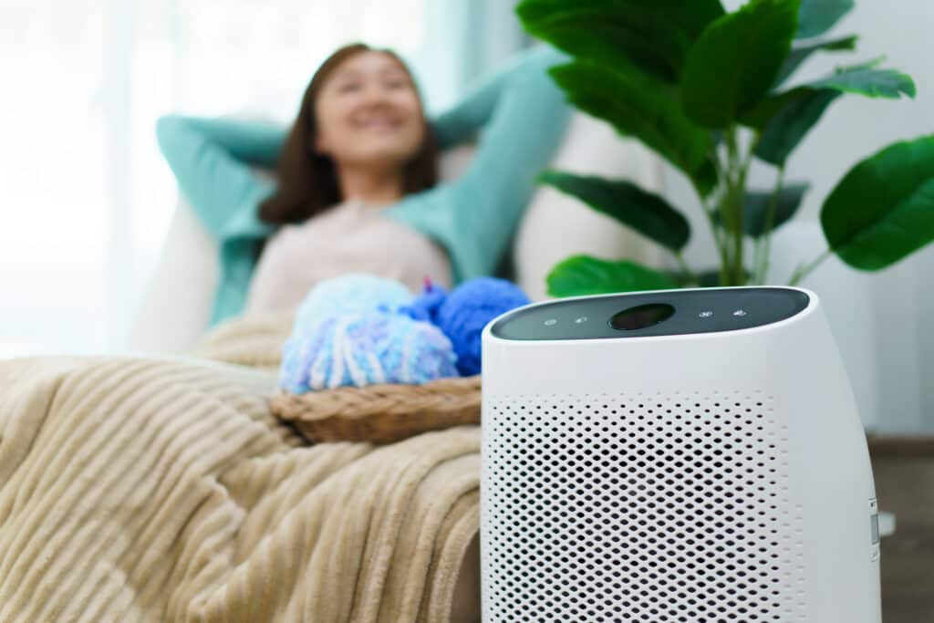 Local air purifier hotsell